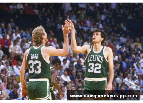 NBA的白人球员：探索种族多样性与球场天赋