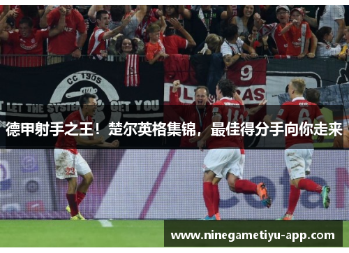 德甲射手之王！楚尔英格集锦，最佳得分手向你走来