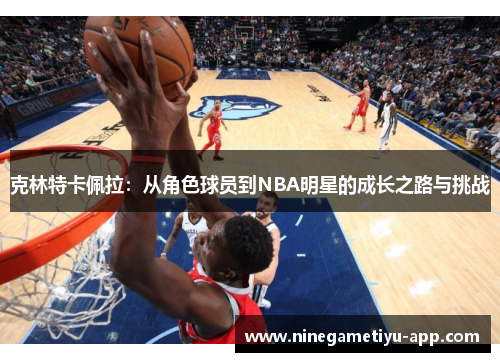 克林特卡佩拉：从角色球员到NBA明星的成长之路与挑战