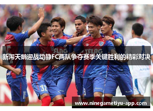 新泻天鹅迎战动静FC两队争夺赛季关键胜利的精彩对决